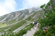 SENTIERO DEI FIORI CLAUDIO BRISSONI, percorso con giro ad anello, partendo dal Rif. Capanna 2000 il 5 luglio 2017 - FOTOGALLERY